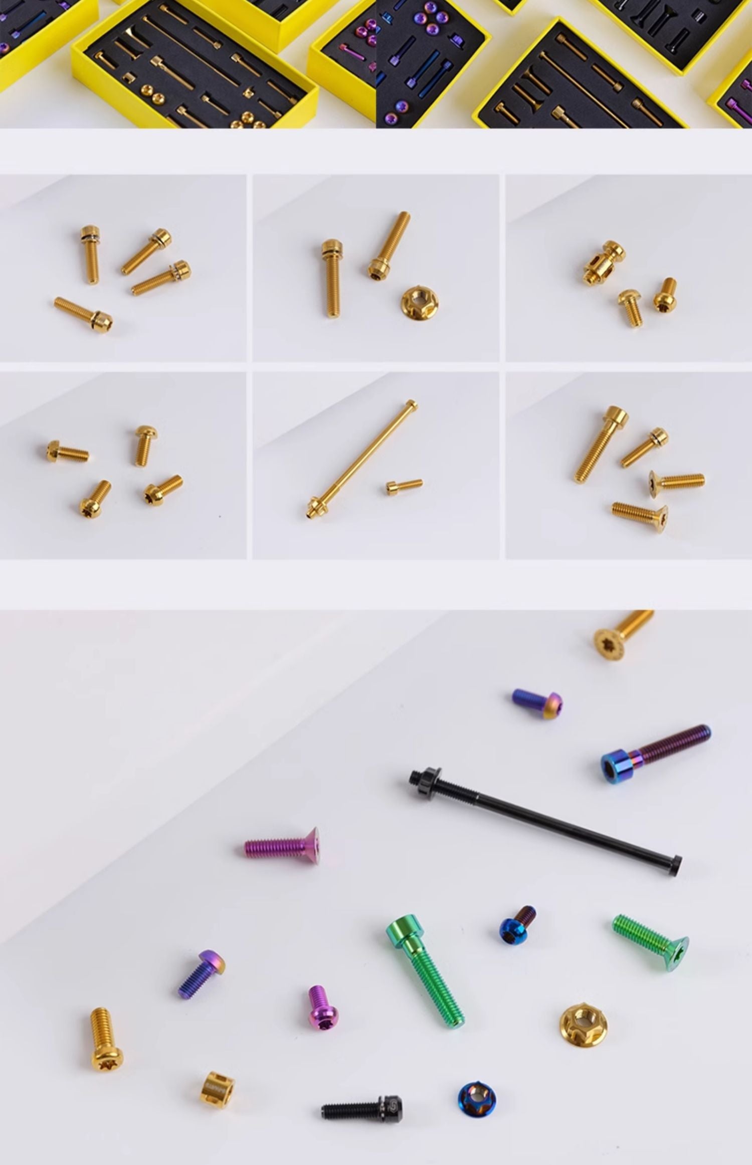Elevate Your Birdy Bike with S-PARTS Titanium Frame Screw Set