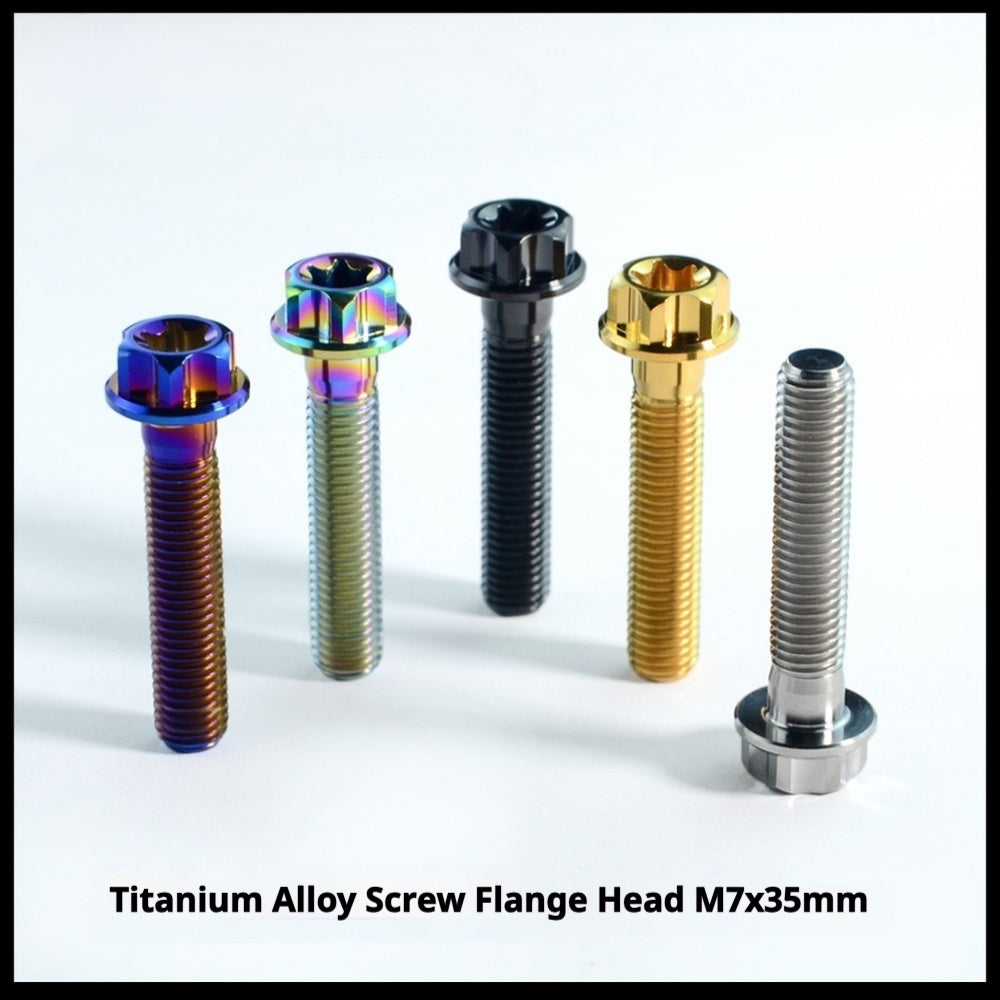 Titanium Seatpost Repair Bolt Kit – Cylindrical, Conical, Flanged & Raised Head | M5 M6 M7 Sizes | Compatible with Specialized Tarmac SL8, Giant TCR, Darimo Seatposts, Pinarello Dogma, and Propel (PP)