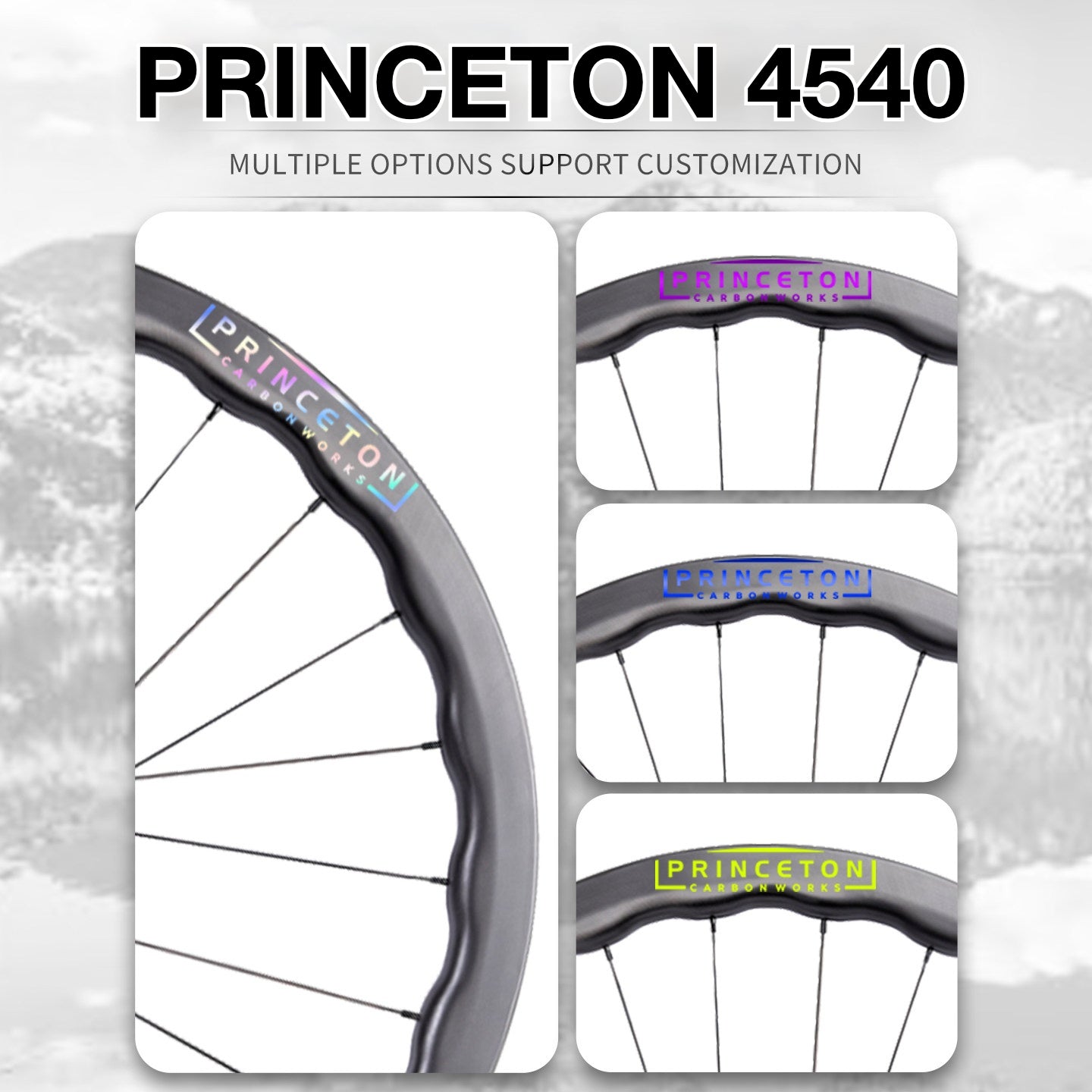 Princeton 4540 Wheel Decal Sticker Kit – Logo Cover & Color Change