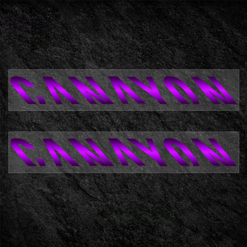 Road Bike Frame Decal Kit | Down Tube Decals ×2 + Integrated Handlebar Decal | Compatible with Canyon Aeroad CFR / CF SLX / CF SLX 8