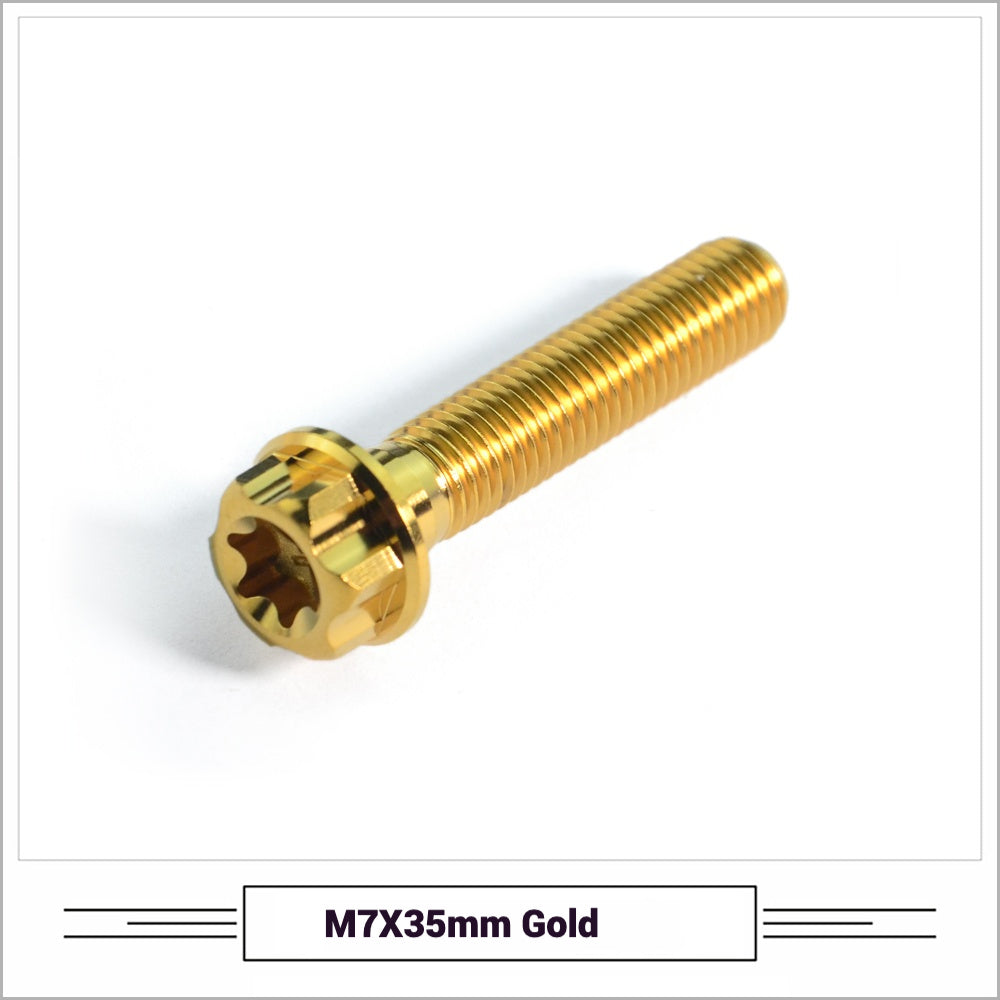 Titanium Seatpost Repair Bolt Kit – Cylindrical, Conical, Flanged & Raised Head | M5 M6 M7 Sizes | Compatible with Specialized Tarmac SL8, Giant TCR, Darimo Seatposts, Pinarello Dogma, and Propel (PP)