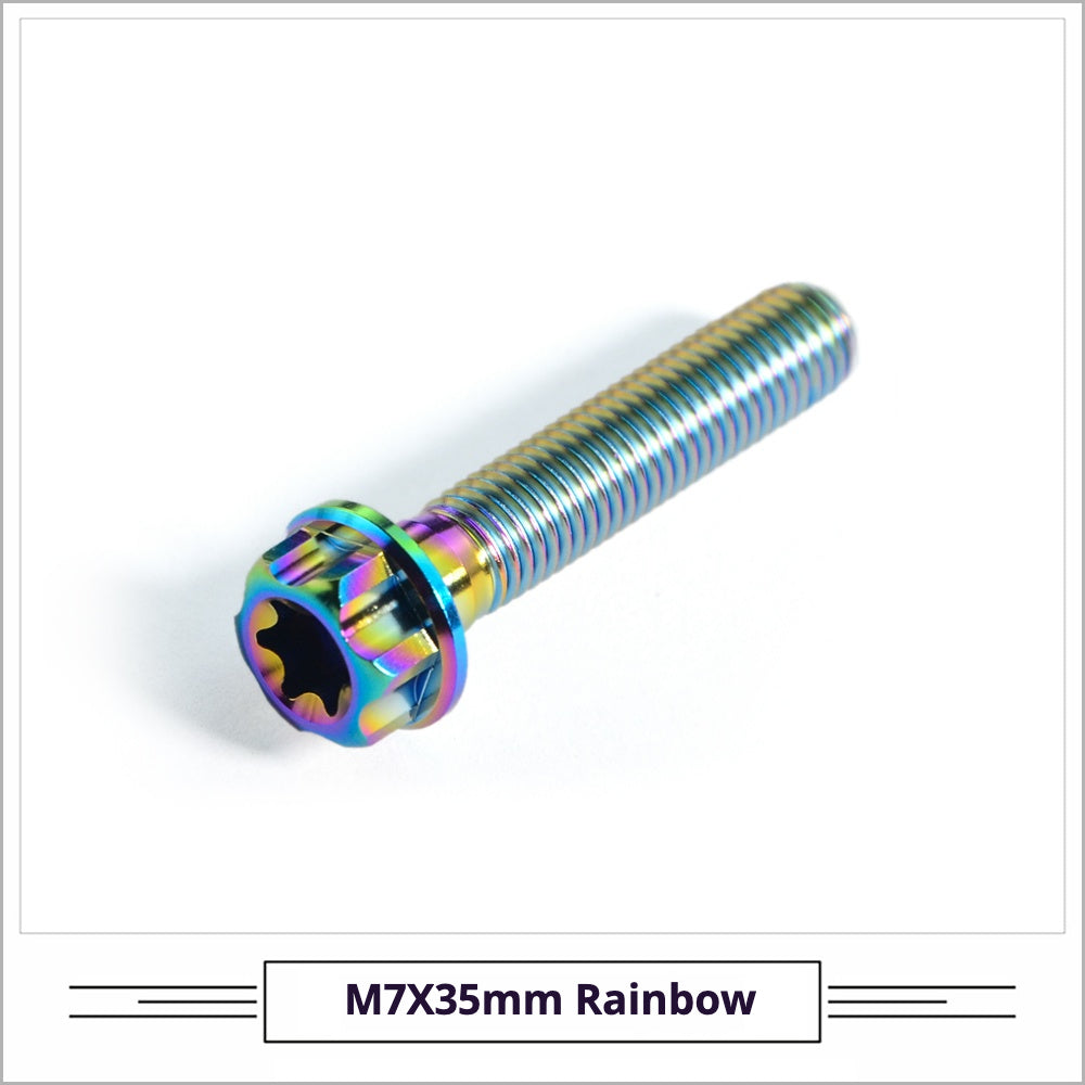 Titanium Seatpost Repair Bolt Kit – Cylindrical, Conical, Flanged & Raised Head | M5 M6 M7 Sizes | Compatible with Specialized Tarmac SL8, Giant TCR, Darimo Seatposts, Pinarello Dogma, and Propel (PP)