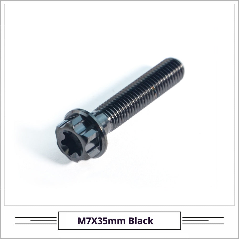 Titanium Seatpost Repair Bolt Kit – Cylindrical, Conical, Flanged & Raised Head | M5 M6 M7 Sizes | Compatible with Specialized Tarmac SL8, Giant TCR, Darimo Seatposts, Pinarello Dogma, and Propel (PP)