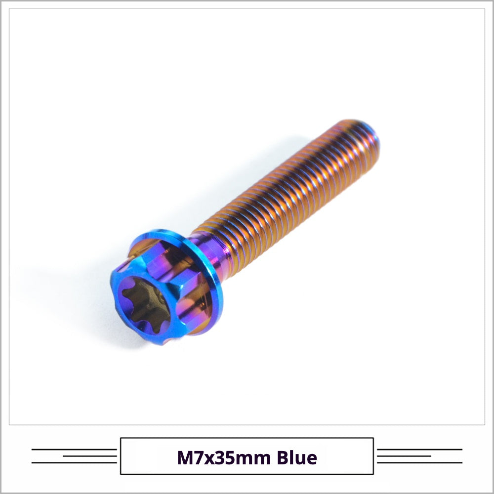 Titanium Seatpost Repair Bolt Kit – Cylindrical, Conical, Flanged & Raised Head | M5 M6 M7 Sizes | Compatible with Specialized Tarmac SL8, Giant TCR, Darimo Seatposts, Pinarello Dogma, and Propel (PP)