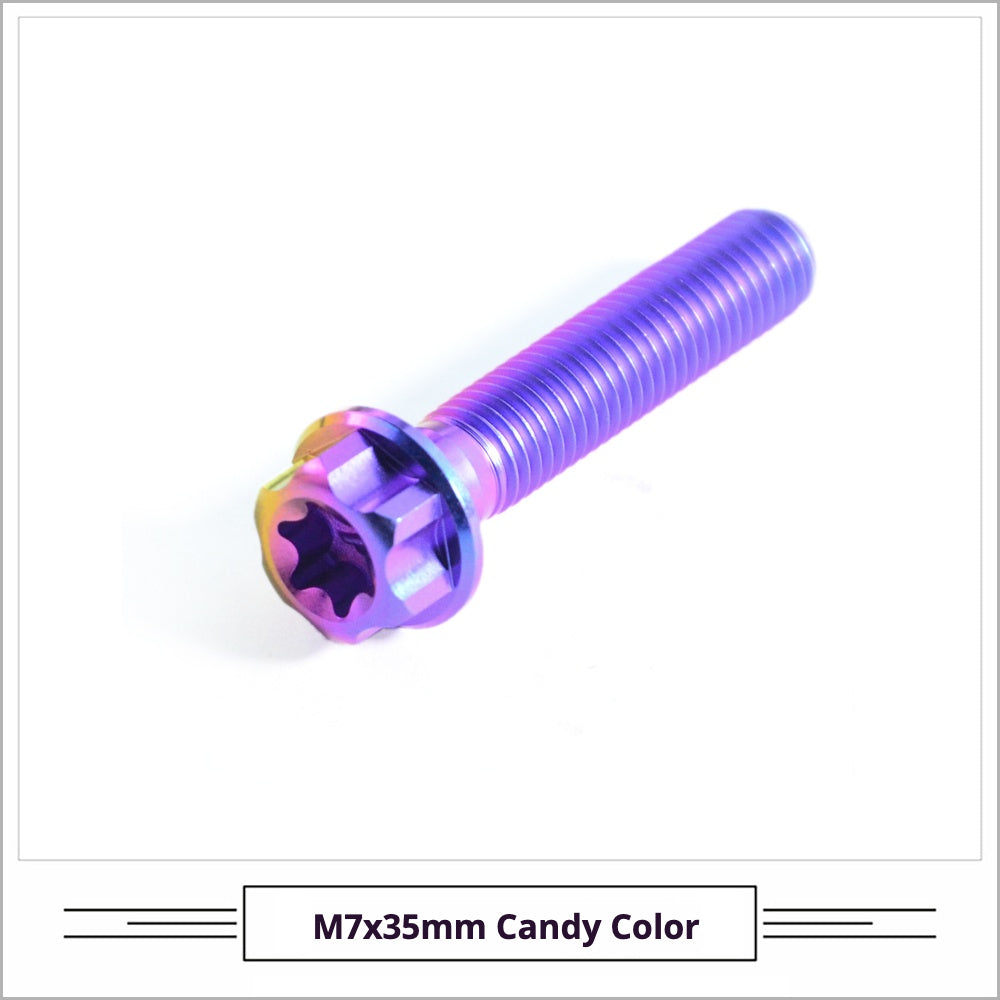 Titanium Seatpost Repair Bolt Kit – Cylindrical, Conical, Flanged & Raised Head | M5 M6 M7 Sizes | Compatible with Specialized Tarmac SL8, Giant TCR, Darimo Seatposts, Pinarello Dogma, and Propel (PP)