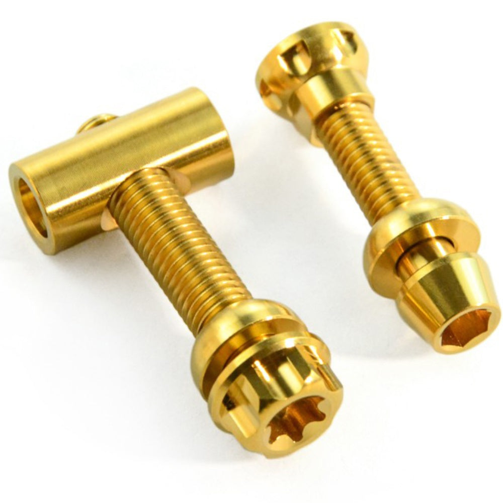 Titanium Seatpost Repair Bolt Kit – Cylindrical, Conical, Flanged & Raised Head | M5 M6 M7 Sizes | Compatible with Specialized Tarmac SL8, Giant TCR, Darimo Seatposts, Pinarello Dogma, and Propel (PP)